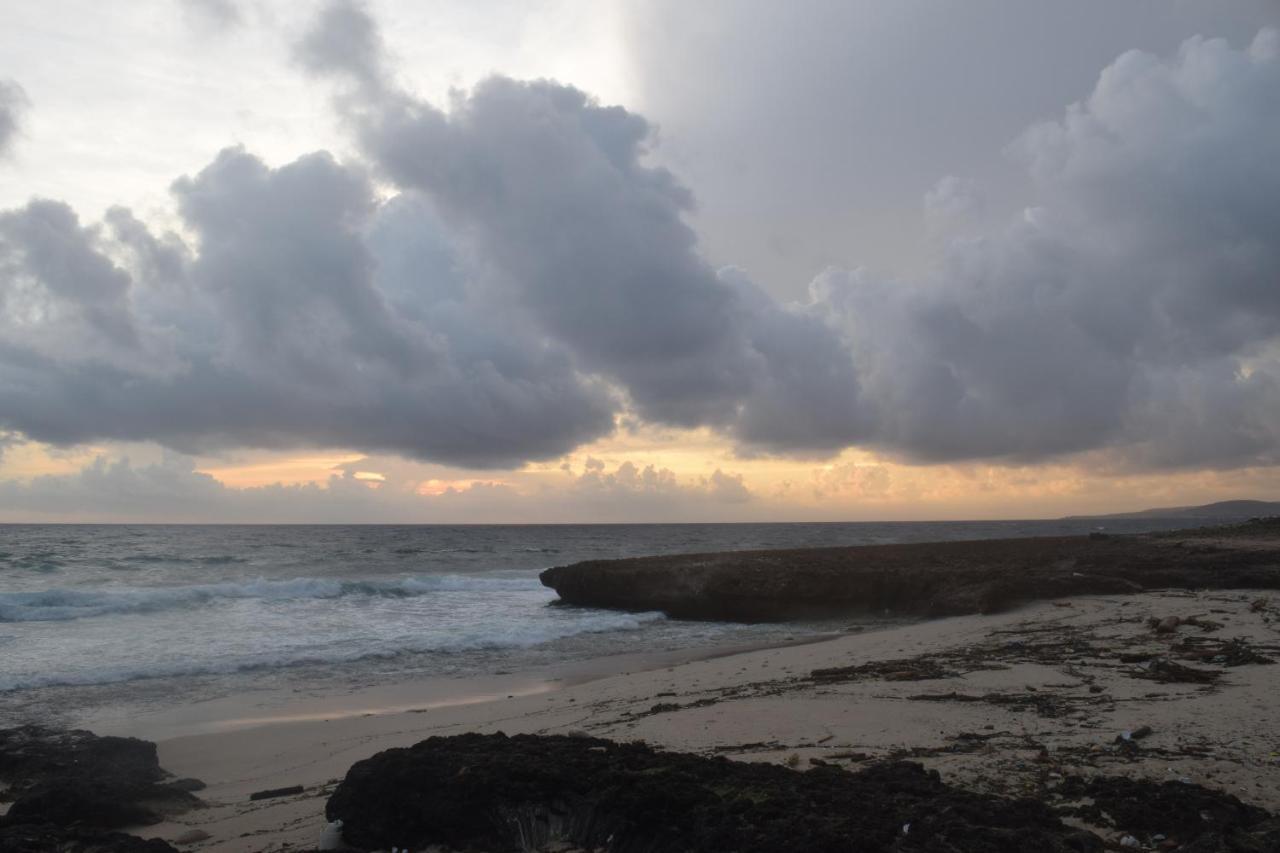 Arena Condos Aruba - Few Steps From Eagle Beach! パームビーチ エクステリア 写真